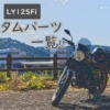 LY125Fi 定制商品第二期！！--Oulu Blog