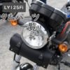 Goyo Honda LY125Fi 定制清单-Oulu Blog